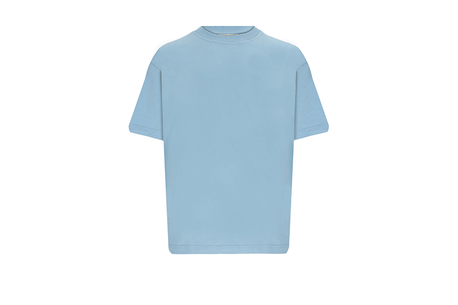 Blank t shirts online